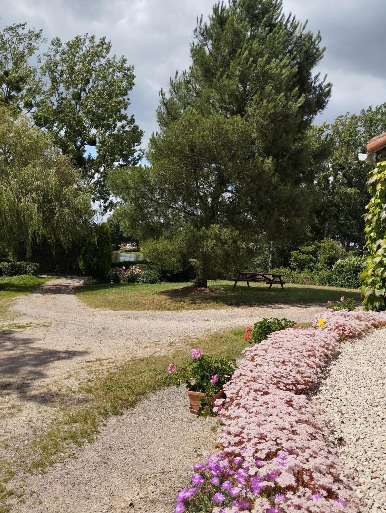 Maison Au Calme Avec Vue Etang Clesse  Ngoại thất bức ảnh